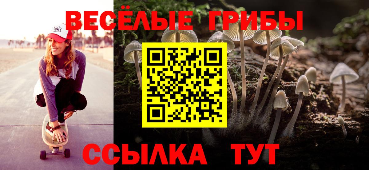 Галлюциногенные грибы ЛСД  Вход с VPN  Каменск-Шахтинский  Галлюциногенные грибы ЛСД 